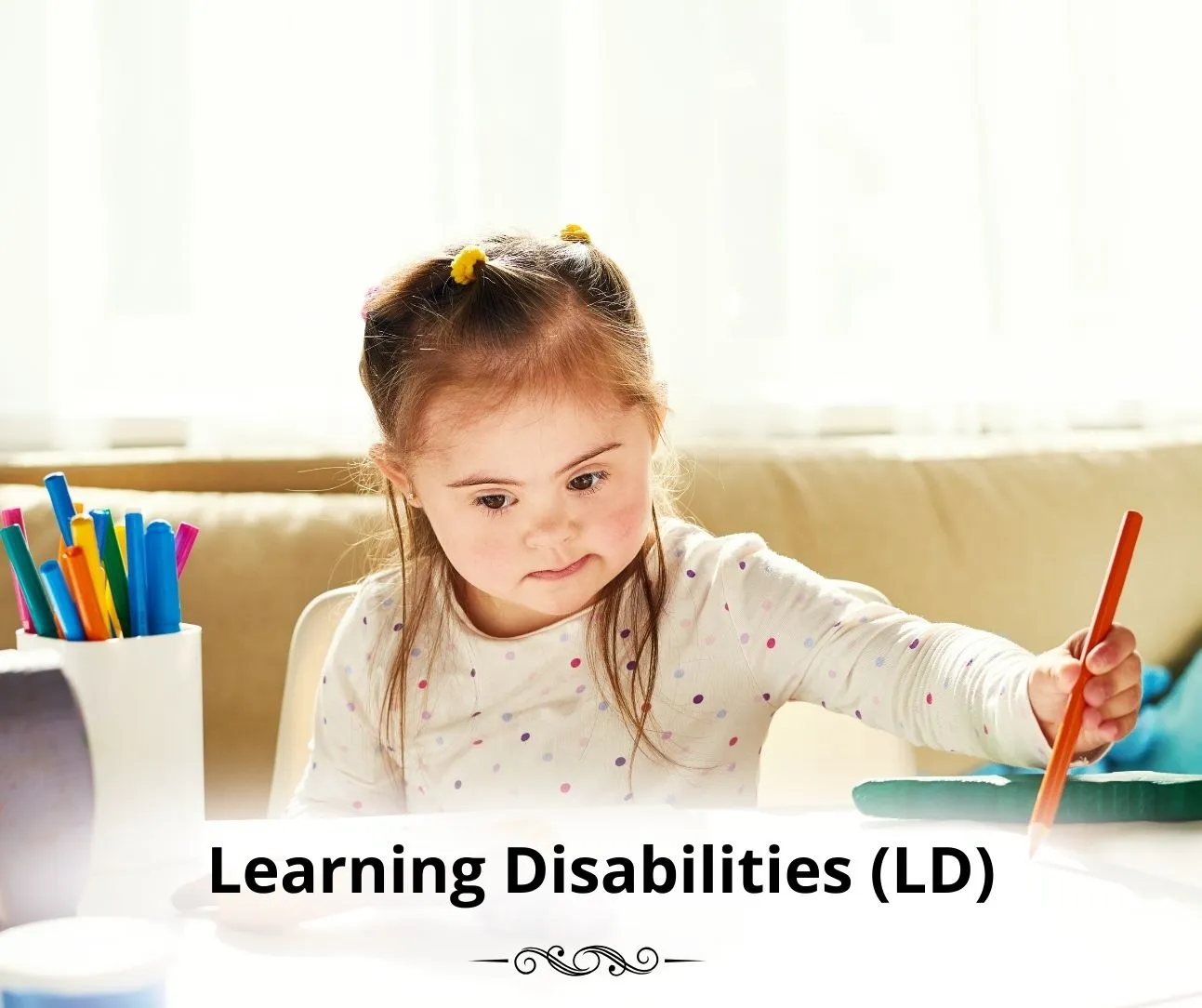 Learning Disabilities (LD)