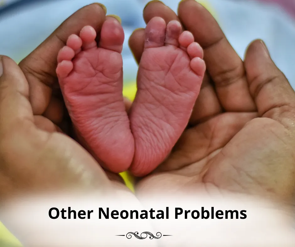 Other Neonatal Problems